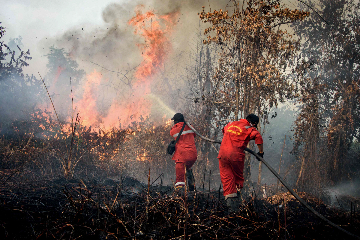 ▲인도네시아 수마트라섬 동부 리아우주 림바 판장 지역에서 20일(현지시간) 소방관들이 산불 진화 작업을 하고 있다. 리아우 당국은 주 전체에서 140건 이상의 산불이 보고됐다고 밝혔다. 수마트라와 보르네오섬에서는 건조한 기간에 산불이 자주 발생해 인근 말레이시아와 싱가포르도 연무가 낀다.  (림바 판장(인도네시아)/AFP연합뉴스)