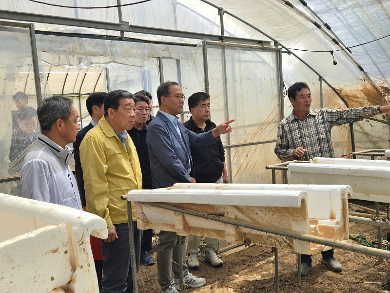 ▲이찬우 NH농협금융 회장은 21일 충남 홍성군 침수 피해를 입은 딸기 농가를 찾아 농업인의 피해 현황과 애로사항을 청취하고 있다. (사진제공=NH농협금융)