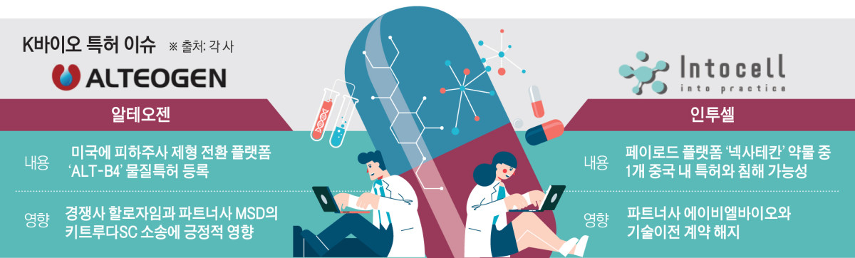 (그래픽=신미영 기자 win8226@)