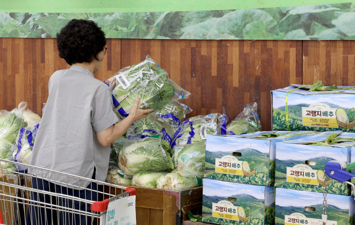 ▲생산자물가가 석 달 만에 상승했다. 주로 농림수산품이 올라 최근 폭우·폭염 영향과 더불어 밥상물가를 밀어올릴 가능성이 우려된다. 22일 한국은행에 따르면 6월 생산자물가지수는 119.77로 전월(119.64) 대비 0.1% 상승했다. 생산자물가는 지난 2~3월 강보합 수준을 나타내다 4월(-0.2%), 5월(-0.4%) 하락한 이후 3개월 만에 상승세로 돌아섰다. 특히 농림수산품 상승률이 전월 대비 0.6%로 높게 나타났다. 구체적으로 배추(31.1%), 돼지고기(9.5%), 달걀(4.4%), 쌀(3.4%) 등의 품목이 높은 상승률을 기록했다. 이날 서울의 한 대형마트에 배추가 진열돼 있다. 신태현 기자 holjjak@