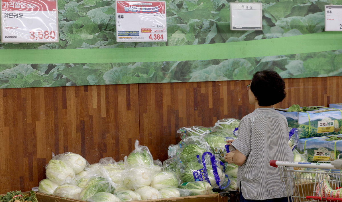 ▲생산자물가가 석 달 만에 상승했다. 주로 농림수산품이 올라 최근 폭우·폭염 영향과 더불어 밥상물가를 밀어올릴 가능성이 우려된다. 22일 한국은행에 따르면 6월 생산자물가지수는 119.77로 전월(119.64) 대비 0.1% 상승했다. 생산자물가는 지난 2~3월 강보합 수준을 나타내다 4월(-0.2%), 5월(-0.4%) 하락한 이후 3개월 만에 상승세로 돌아섰다. 특히 농림수산품 상승률이 전월 대비 0.6%로 높게 나타났다. 구체적으로 배추(31.1%), 돼지고기(9.5%), 달걀(4.4%), 쌀(3.4%) 등의 품목이 높은 상승률을 기록했다. 이날 서울의 한 대형마트에 배추가 진열돼 있다. 신태현 기자 holjjak@