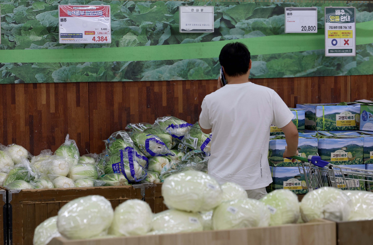 ▲서울의 한 대형마트에 배추가 진열돼 있다.  (사진=신태현 기자 holjjak@)