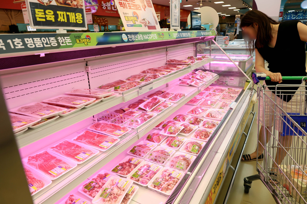 ▲생산자물가가 석 달 만에 상승했다. 주로 농림수산품이 올라 최근 폭우·폭염 영향과 더불어 밥상물가를 밀어올릴 가능성이 우려된다. 22일 한국은행에 따르면 6월 생산자물가지수는 119.77로 전월(119.64) 대비 0.1% 상승했다. 생산자물가는 지난 2~3월 강보합 수준을 나타내다 4월(-0.2%), 5월(-0.4%) 하락한 이후 3개월 만에 상승세로 돌아섰다. 특히 농림수산품 상승률이 전월 대비 0.6%로 높게 나타났다. 구체적으로 배추(31.1%), 돼지고기(9.5%), 달걀(4.4%), 쌀(3.4%) 등의 품목이 높은 상승률을 기록했다. 이날 서울의 한 대형마트에 돼지고기가 진열돼 있다. 신태현 기자 holjjak@