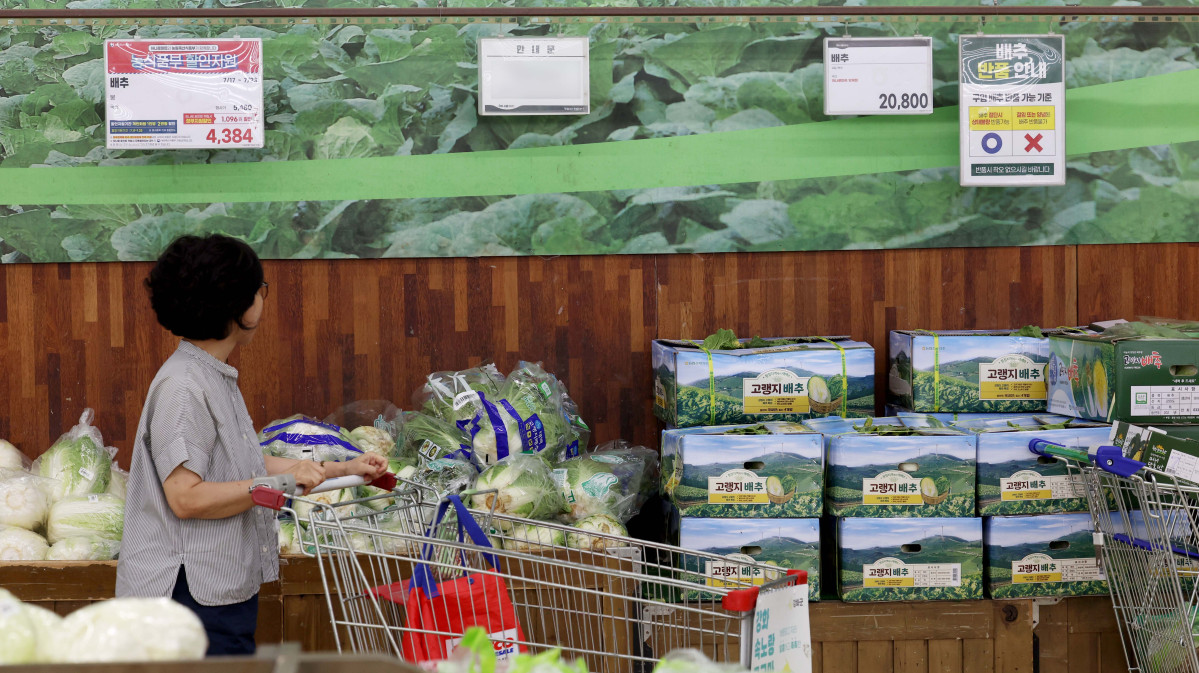 ▲서울의 한 대형마트에 배추가 진열돼 있다. 신태현 기자 holjjak@