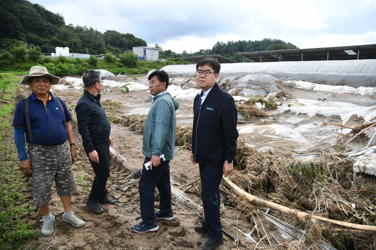 ▲엄범식 경기농협 총괄본부장을 비롯한 관계자들이 최근 집중호우로 피해를 입은 가평과 포천 일대의 손상된 비닐하우스 현장을 찾아 점검하고 있다. (경기농협)