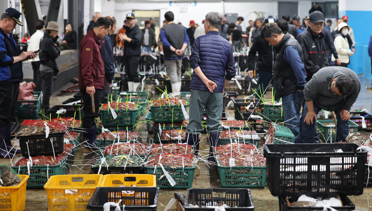 ▲인천 중구 경인서부수협 위판장에서 상인들이 꽃게 상태를 살펴보고 있다. (뉴시스)