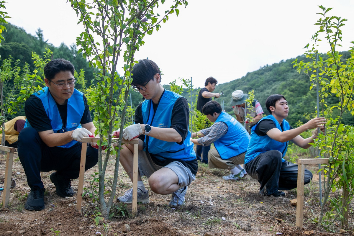 ▲쿠팡풀필먼트서비스 임직원들과 한국폴리텍대 인턴십 학생들이 21일 국립대전숲체원에서 쓰러진 무궁화나무를 바로 세우고 고정시키는 작업을 하고 있다. (사진제공=쿠팡풀필먼트서비스)