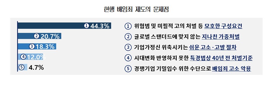 ▲현행 배임죄 제도의 문제점 (자료제공=대한상공회의소)