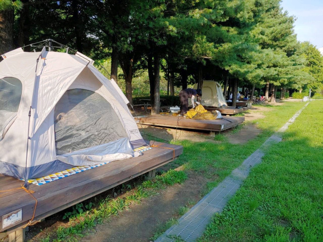 ▲성동 서울숲 캠핑장 모습. (사진제공=성동구)