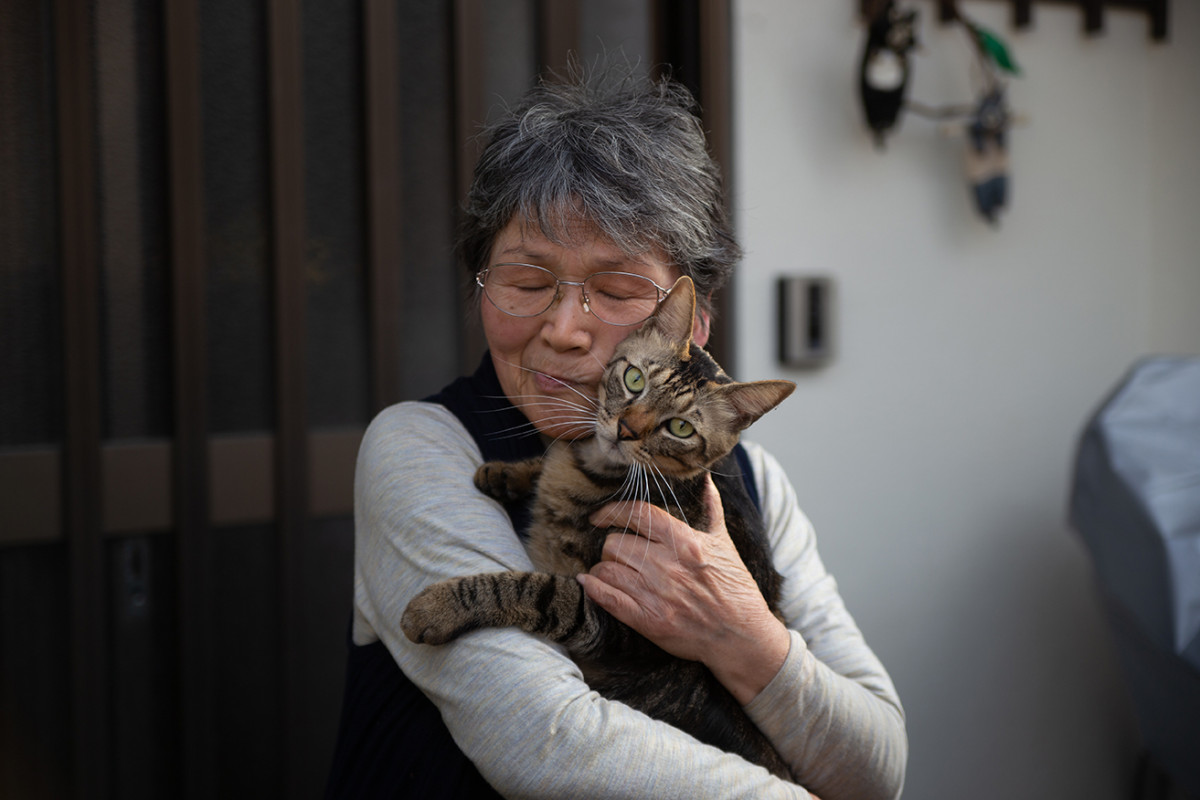 ▲사진은 본문과 무관함.(어도비 스톡)