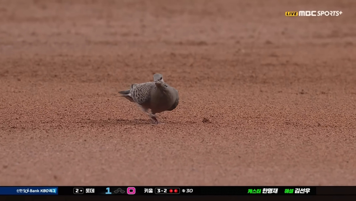 (출처=MBC 스포츠플러스 캡처, KBO 유튜브 캡처)