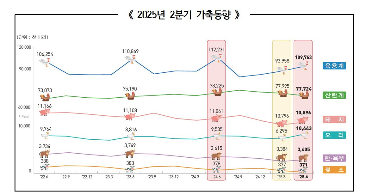 ▲2025년 2분기 가축동향 (통계청)