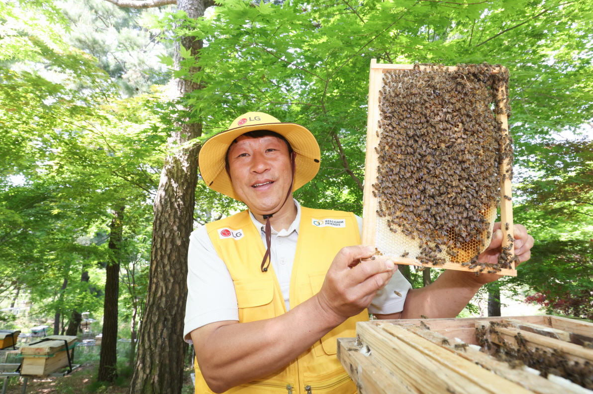 ▲김대립 명인이 LG가 조성한 토종 꿀벌 서식지에서 꿀벌통을 들어 보이고 있다. (자료제공=LG)