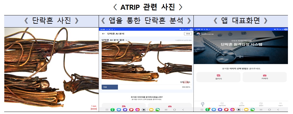 (자료=행정안전부)