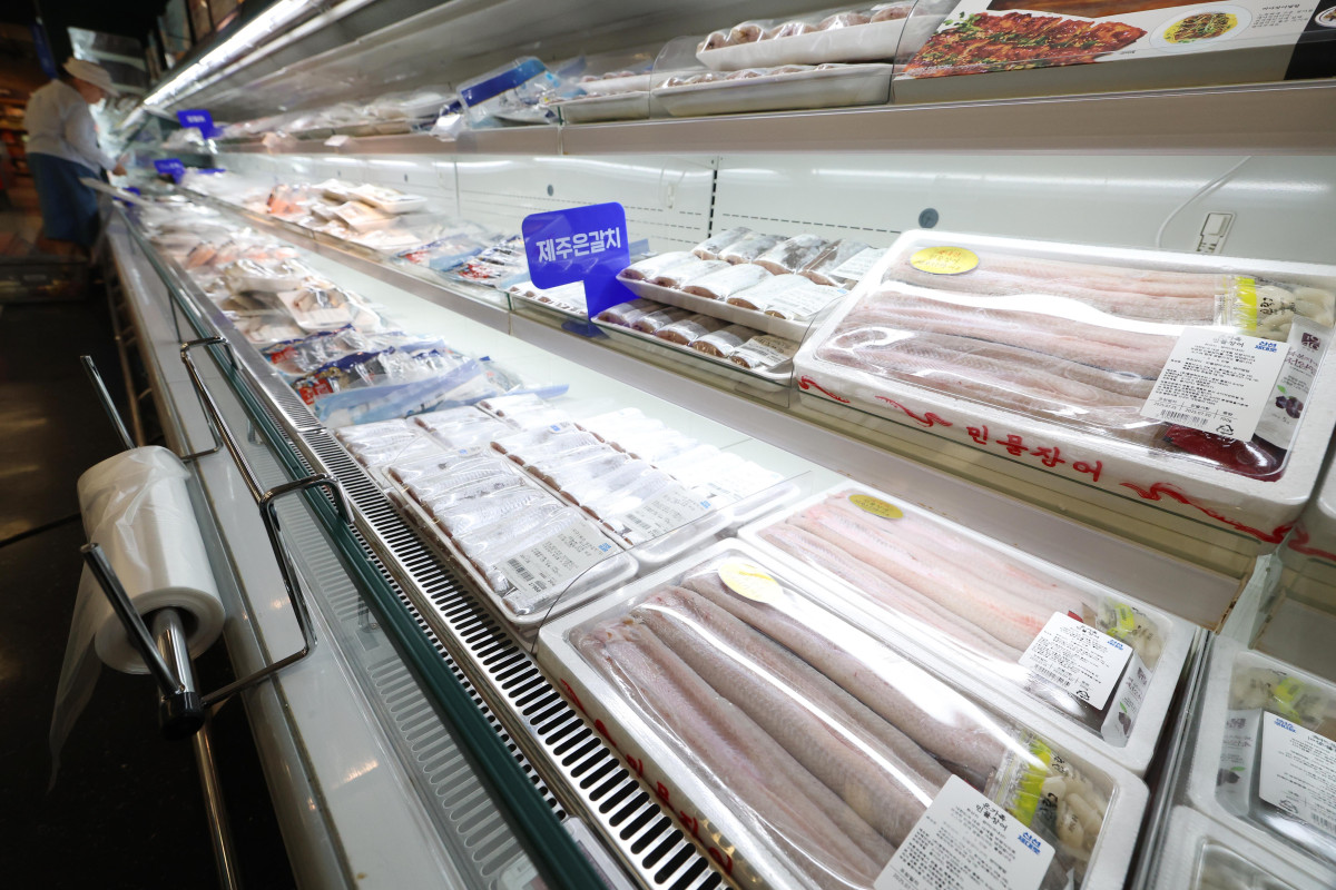▲'대한민국 수산대전-여름휴가 특별전'이 시작된 28일 서울의 한 대형마트에서 시민이 수산물을 살펴보고 있다. 해양수산부는 여름 휴가철 수산물 소비를 촉진하기 위해 내달 21일까지 3주간 마트와 온라인몰 등에서 전복과 장어, 광어 등 국산 수산물을 구매할 때 구매 금액의 최대 50%를 할인받을 수 있는 '대한민국 수산대전-여름휴가 특별전'을 진행한다. 신태현 기자 holjjak@