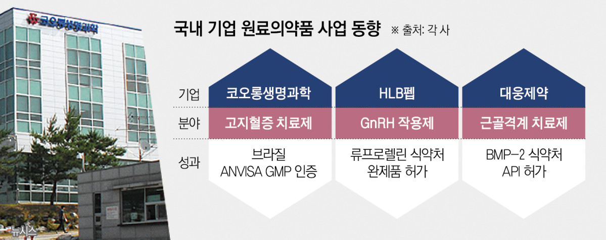 (그래픽=신미영 기자 win8226@)