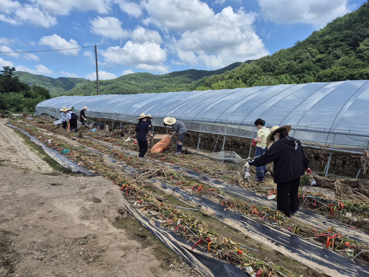 ▲산청 피해복구에 나선 양산청소년들  (사진제공=양산시청 )