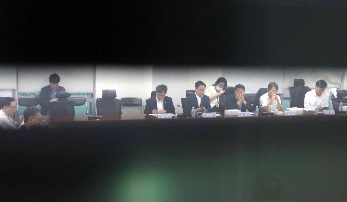 ▲이형일(왼쪽 두번째)기획재정부 1차관과 허영(오른쪽 네번째) 더불어민주당 정책수석 등이 29일 오전 서울 여의도 국회에서 열린 당정협의에서 배당소득 분리과세 등 세제개편 논의를 하고 있다. 2025.07.29.  (뉴시스)