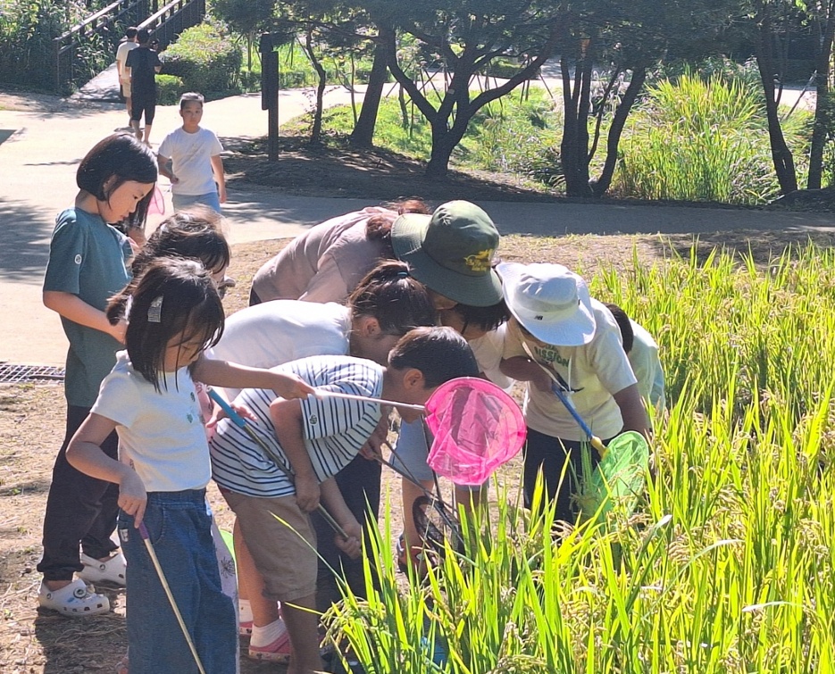 ▲숲해설 프로그램 운영 모습. (사진제공=강동구)