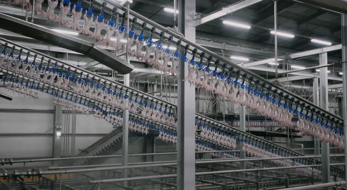 ▲하림 닭고기종합처리센터에서 풀에어칠링 공정이 진행되고 있다. (사진제공=하림)