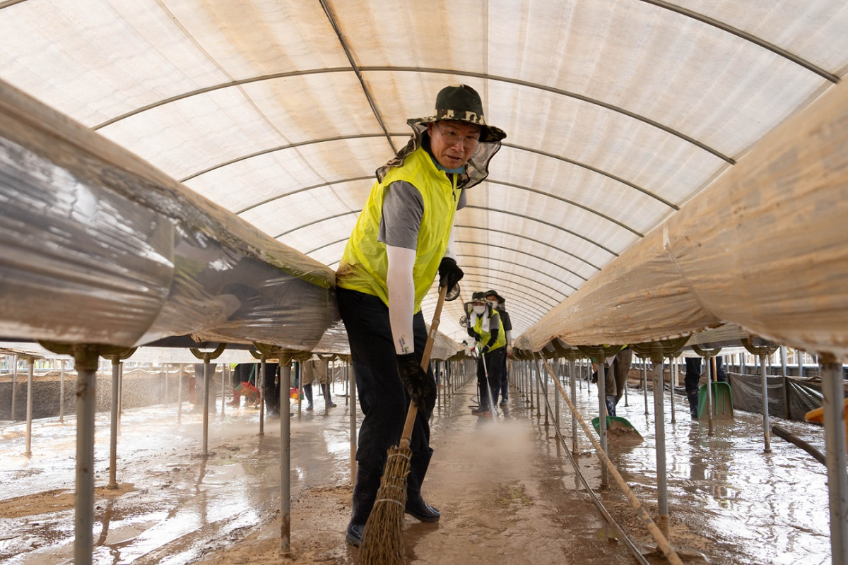 ▲강태영 은행장을 비롯한 농협은행 임직원들이 29일 충남 당진을 찾아 관내 농축협 임직원들과 함께 피해복구에 구슬땀을 흘렸다. (사진제공=NH농협은행)