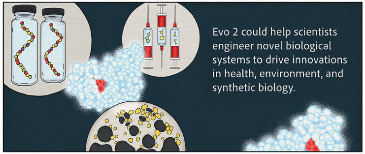 ▲생성형 인공지능(AI) ‘에보2(EVO2)’가 새로운 생물학적 시스템을 설계하는 데 도움이 된다는 설명문. 출처 스탠퍼드대