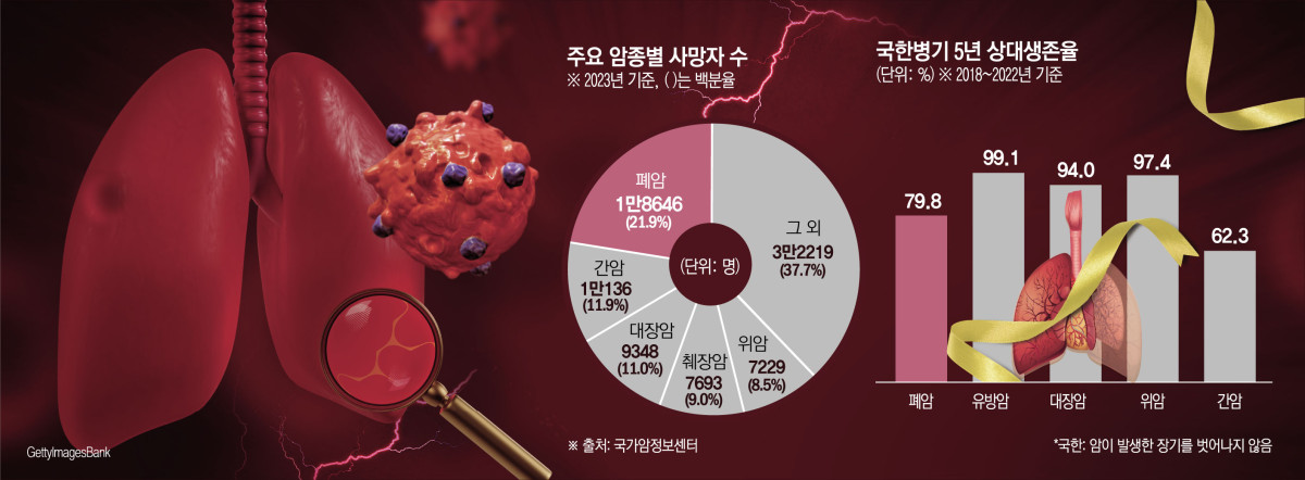 (그래픽=김소영 기자 sue@)