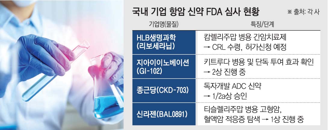 (그래픽=손미경 기자 sssmk@)