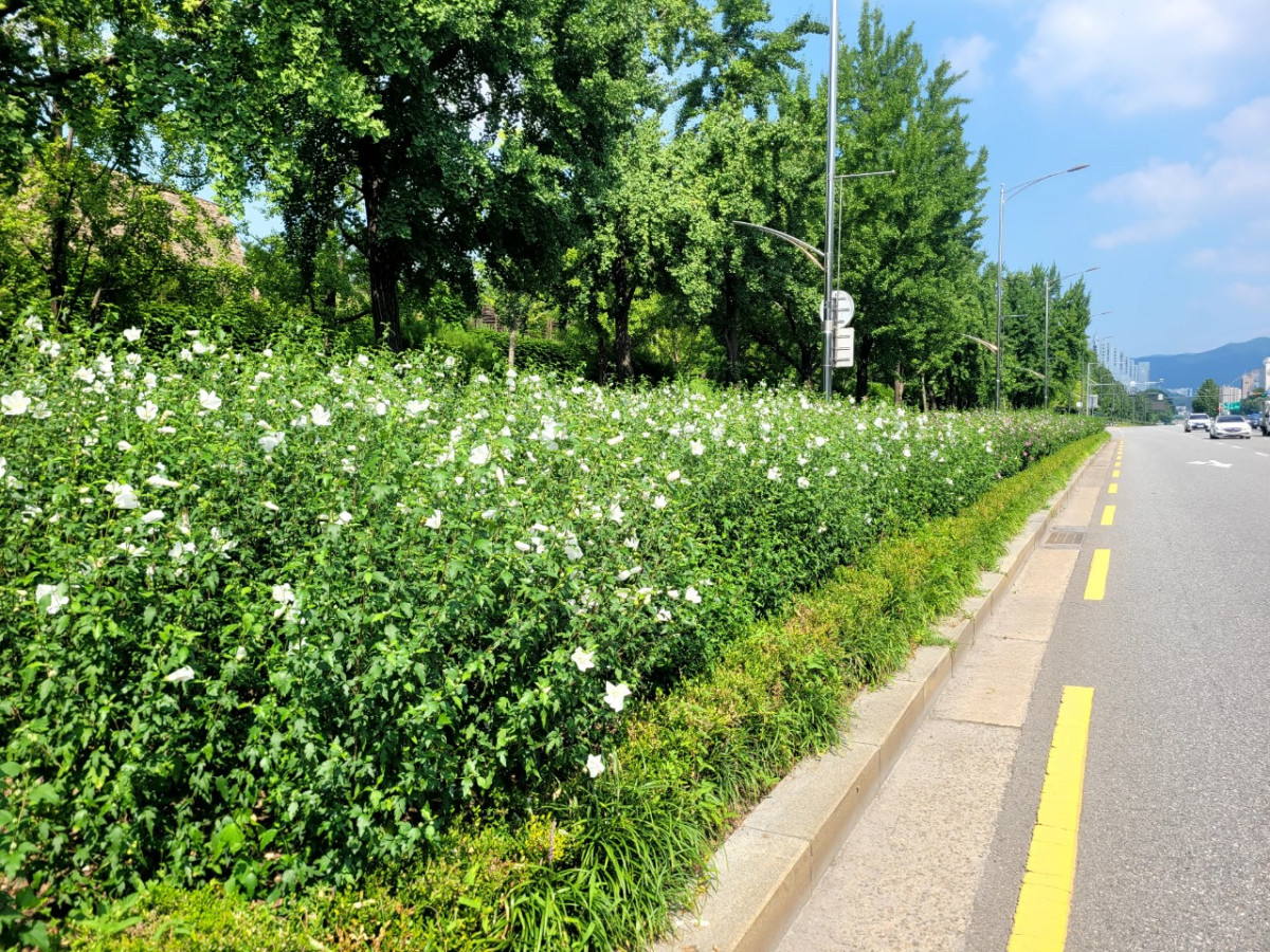 ▲위례성대로. (사진제공=송파구)