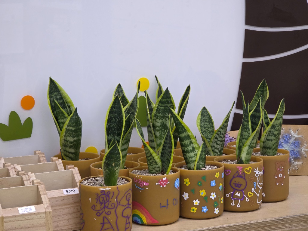 ▲쌀플라스틱 원형화분 만들기 체험 결과물. (사진제공=성동구)