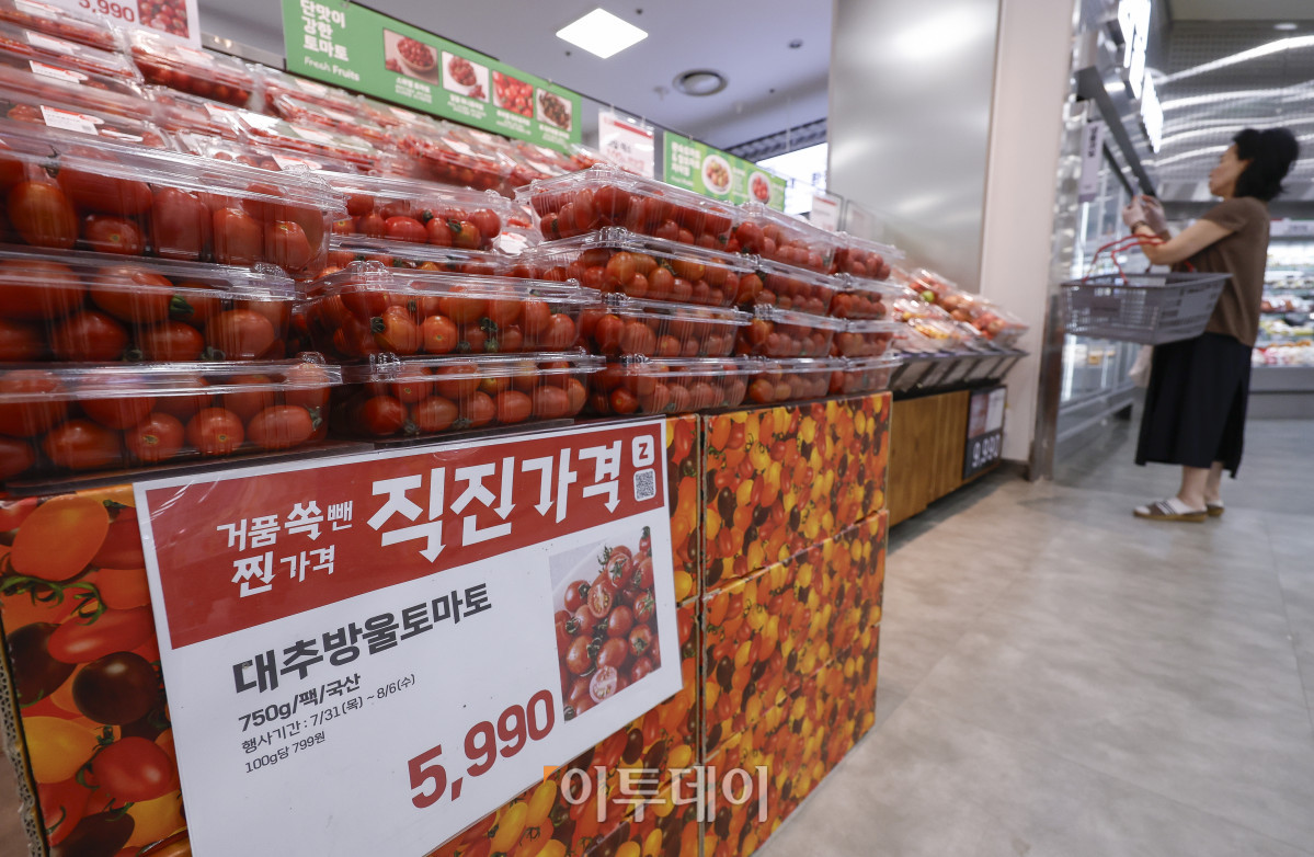 ▲롯데마트가 직진 가격 캠페인을 시작한 31일 서울 시내 한 롯데마트 매장에 방울 토마토가 진열되어 있다. 이날부터 내달 6일까지 필수 식료품을 합리적인 가격에 제공하는 직진 가격 캠페인은 여름 휴가철 수요가 많은 먹거리 12종을 할인된 가격에 선보인다. 통 큰 닭볶음탕용은 8990원에, 대추 방울토마토는 5990원에 각각 판매된다. 제스프리 골드키위와 고산지 바나나 가격은 각각 7990원, 3990원으로 책정됐다. 조현호 기자 hyunho@