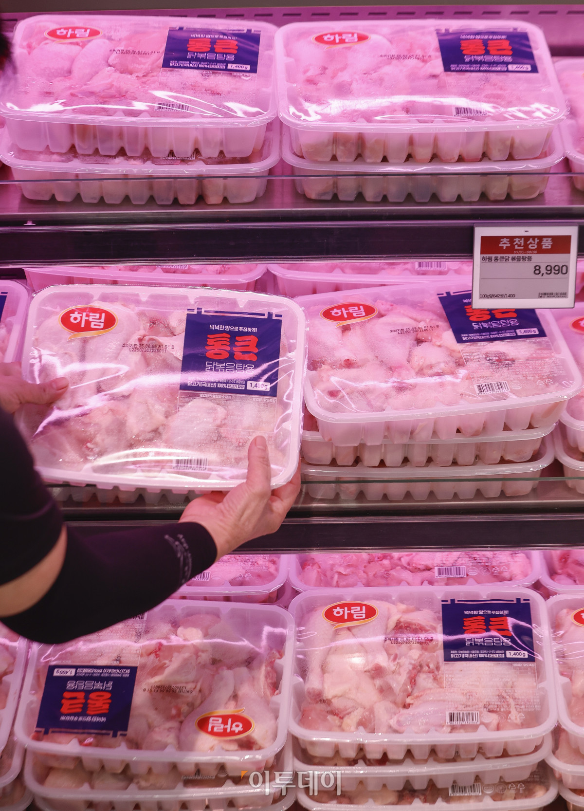 ▲서울 시내 한 롯데마트 매장에서 시민들이 닭고기를 살펴보고 있다.  (조현호 기자 hyunho@)