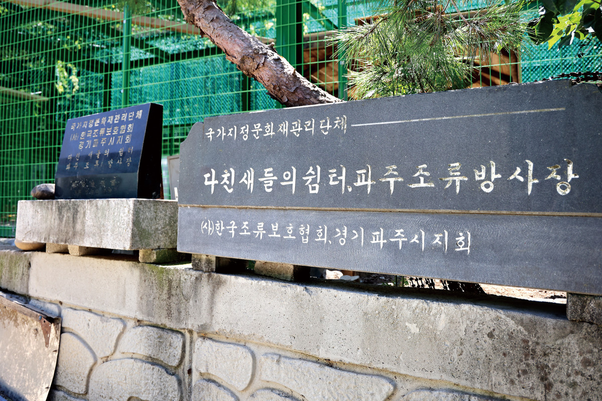 (주민욱 프리랜서)