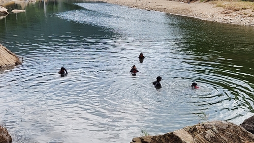 ▲가평 실종자 수색 현장 (경기도북부소방재난본부 )