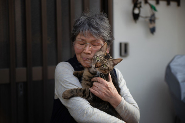 ▲사진은 본문과 무관함.(어도비 스톡)