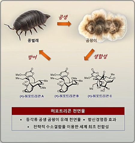 (카이스트)