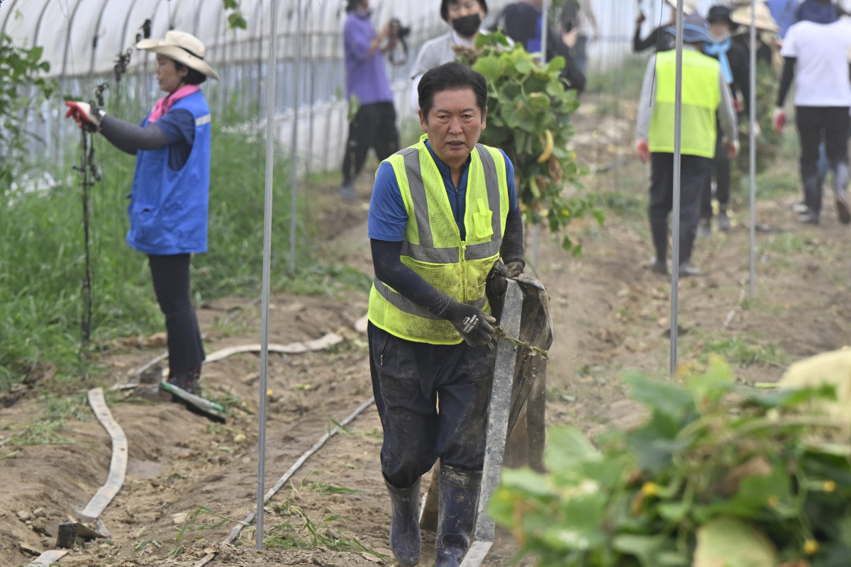 ▲정청래 더불어민주당 대표가 3일 오전 당대표 취임 후 첫 외부 일정으로 전남 나주시 노안면 일대를 방문, 수해 피해를 입은 오이 농가를 방문해 복구 작업을 돕고 있다. (사진=뉴시스)