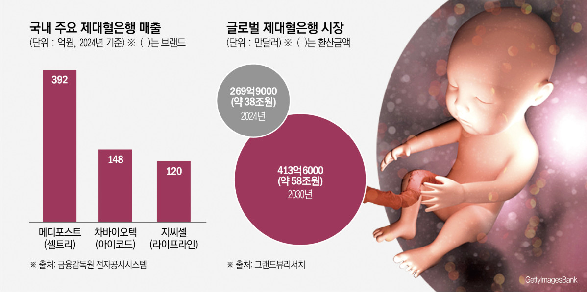 제대혈은행 다시 활기…글로벌 시장은 50兆 전망