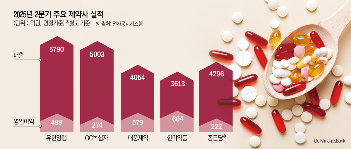 (그래픽=신미영 기자 win8226@)