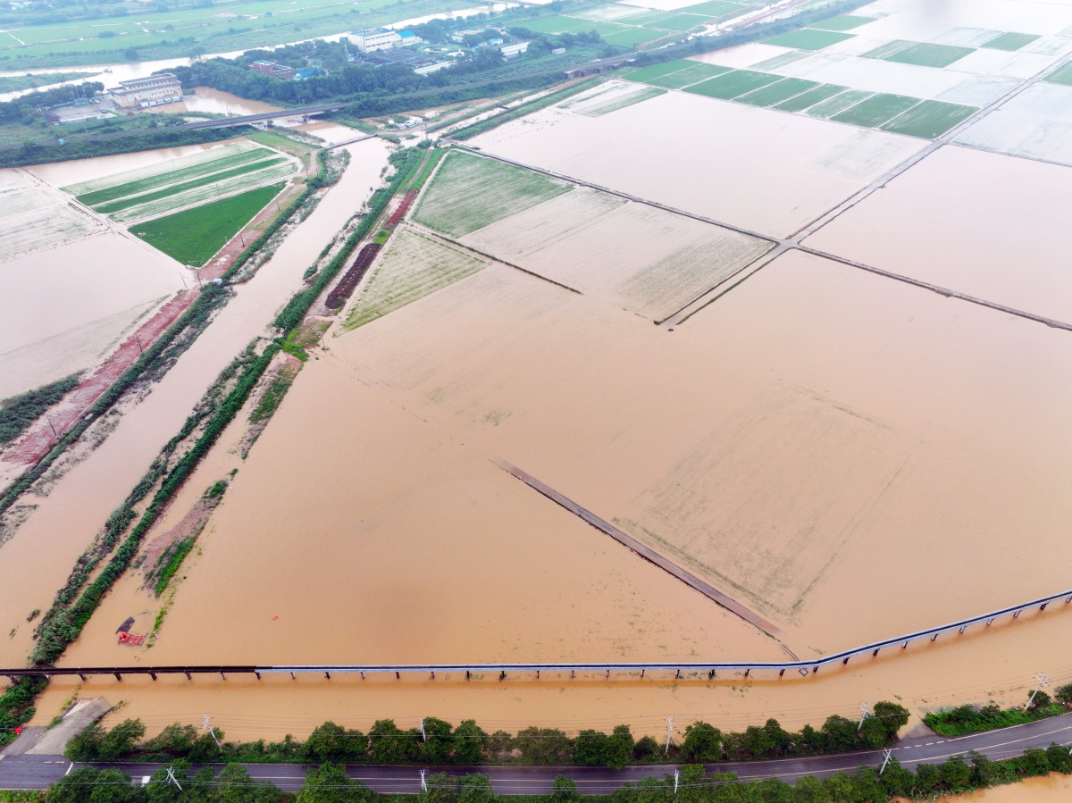 ▲4일 오전 전남 함평군 엄다면 일대 농경지가 빗물에 잠겨 있다. 함평에는 호우 특보가 발효된 전날 하루에만 170여㎜의 비가 내렸다.  (연합뉴스)
