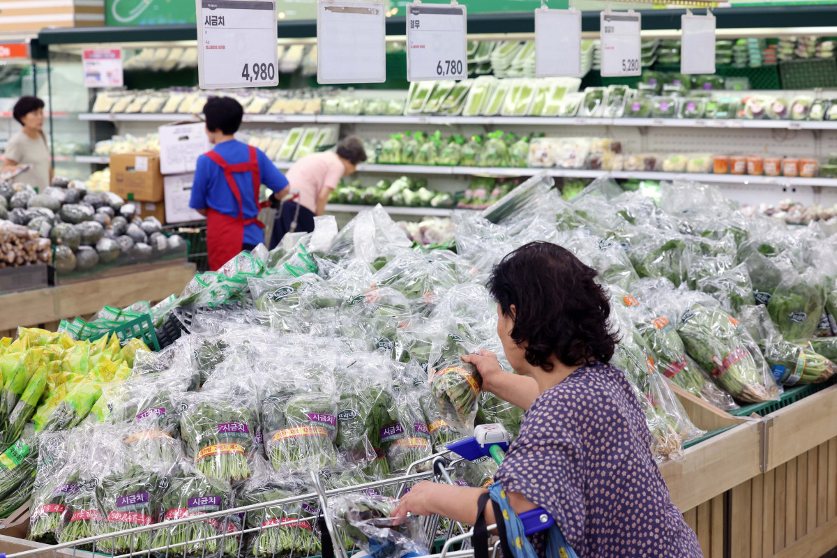 (신태현 기자 holjjak@)