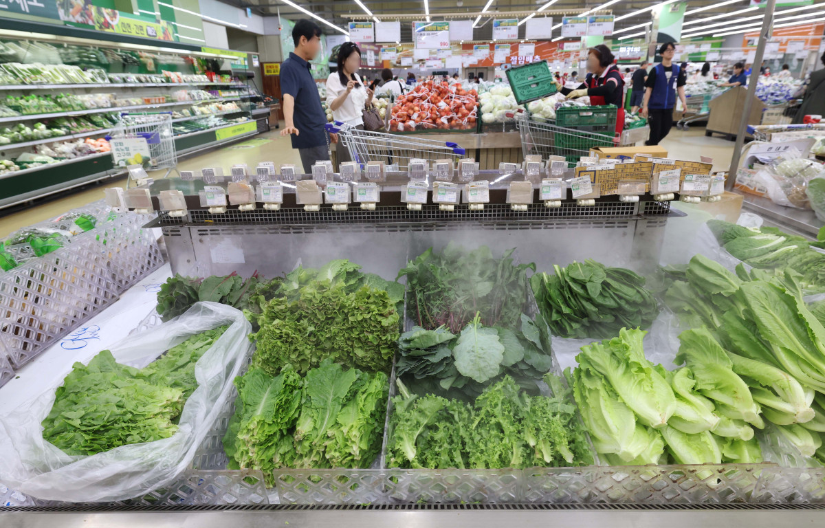 ▲지난달 소비자물가가 가공식품·수산물 등 가격이 오르면서 두 달째 2%대 상승세를 이어갔다. 폭염·폭우 영향으로 과일·채소 등 농산물 가격이 강세를 보였다. 소비쿠폰 수요가 많은 한우 등의 물가도 전달보다 상승 폭이 커졌다. 통계청이 5일 발표한 '7월 소비자물가동향'을 보면 지난 달 소비자물가지수는 116.52(2020년=100)로 1년 전보다 2.1% 올랐다. 소비자물가지수 상승률은 올해 1월부터 2%대를 기록하다가 지난 5월 1.9%로 떨어졌으나 6월부터는 두 달째 다시 2%대를 유지하고 있다. 이날 서울의 한 대형마트에서 시민들이 장을 보고 있다. 신태현 기자 holjjak@