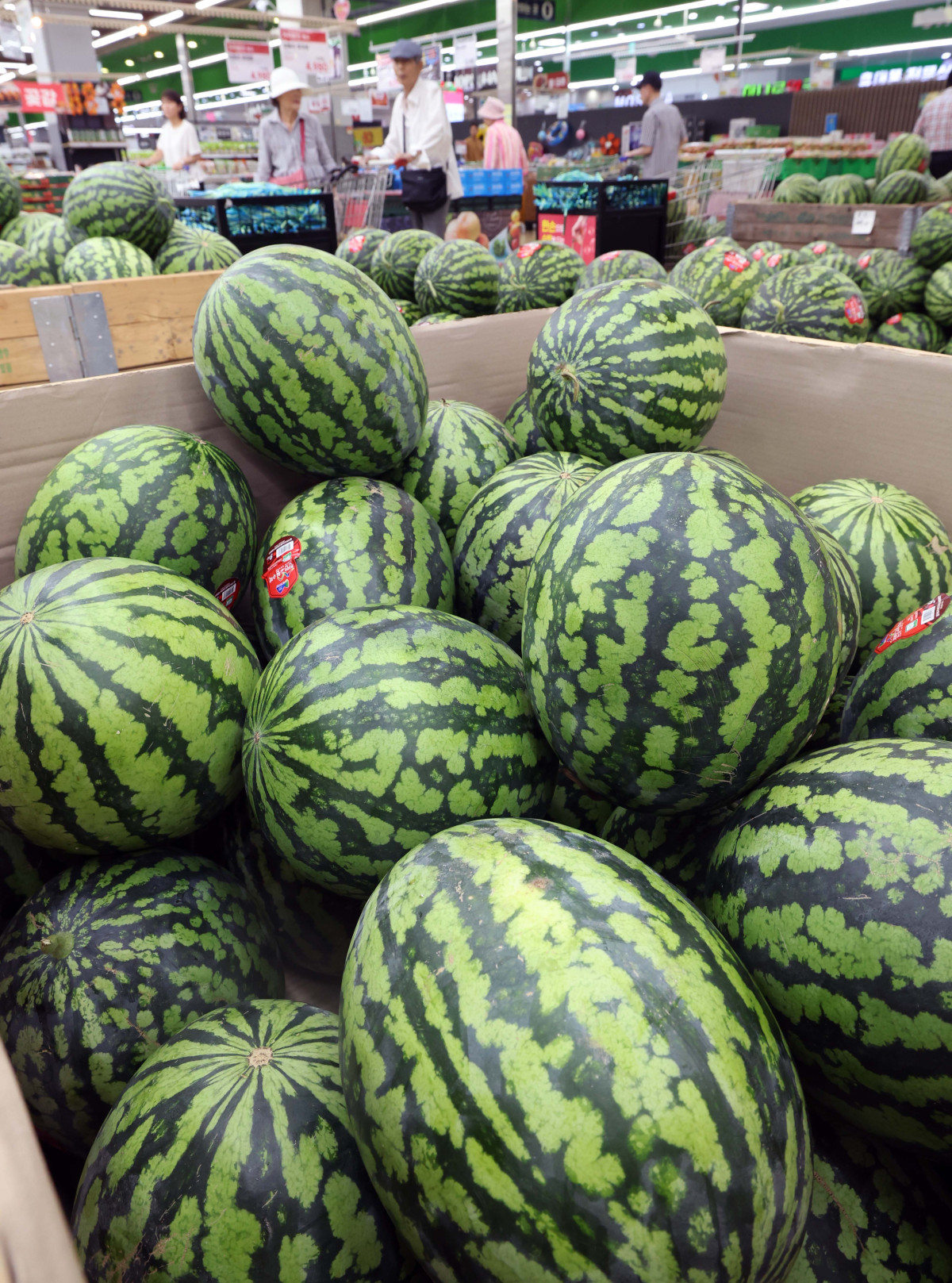 ▲지난달 소비자물가가 가공식품·수산물 등 가격이 오르면서 두 달째 2%대 상승세를 이어갔다. 폭염·폭우 영향으로 과일·채소 등 농산물 가격이 강세를 보였다. 소비쿠폰 수요가 많은 한우 등의 물가도 전달보다 상승 폭이 커졌다. 통계청이 5일 발표한 '7월 소비자물가동향'을 보면 지난 달 소비자물가지수는 116.52(2020년=100)로 1년 전보다 2.1% 올랐다. 소비자물가지수 상승률은 올해 1월부터 2%대를 기록하다가 지난 5월 1.9%로 떨어졌으나 6월부터는 두 달째 다시 2%대를 유지하고 있다. 이날 서울의 한 대형마트에서 시민들이 장을 보고 있다. 신태현 기자 holjjak@