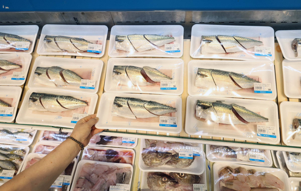 ▲지난달 소비자물가가 가공식품·수산물 등 가격이 오르면서 두 달째 2%대 상승세를 이어갔다. 폭염·폭우 영향으로 과일·채소 등 농산물 가격이 강세를 보였다. 소비쿠폰 수요가 많은 한우 등의 물가도 전달보다 상승 폭이 커졌다. 통계청이 5일 발표한 '7월 소비자물가동향'을 보면 지난 달 소비자물가지수는 116.52(2020년=100)로 1년 전보다 2.1% 올랐다. 소비자물가지수 상승률은 올해 1월부터 2%대를 기록하다가 지난 5월 1.9%로 떨어졌으나 6월부터는 두 달째 다시 2%대를 유지하고 있다. 이날 서울의 한 대형마트에서 시민들이 장을 보고 있다. 신태현 기자 holjjak@