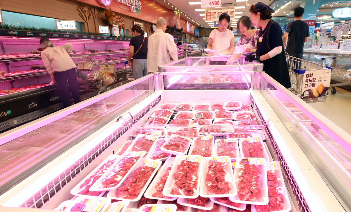 ▲서울의 한 대형마트에서 시민들이 장을 보고 있다.  (신태현 기자 holjjak@)