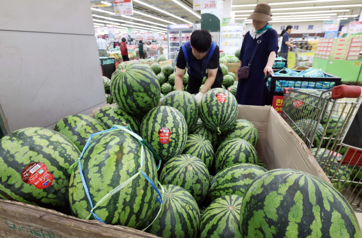 ▲지난달 소비자물가가 가공식품·수산물 등 가격이 오르면서 두 달째 2%대 상승세를 이어갔다. 폭염·폭우 영향으로 과일·채소 등 농산물 가격이 강세를 보였다. 소비쿠폰 수요가 많은 한우 등의 물가도 전달보다 상승 폭이 커졌다. 통계청이 5일 발표한 '7월 소비자물가동향'을 보면 지난 달 소비자물가지수는 116.52(2020년=100)로 1년 전보다 2.1% 올랐다. 소비자물가지수 상승률은 올해 1월부터 2%대를 기록하다가 지난 5월 1.9%로 떨어졌으나 6월부터는 두 달째 다시 2%대를 유지하고 있다. 이날 서울의 한 대형마트에서 시민들이 장을 보고 있다. 신태현 기자 holjjak@