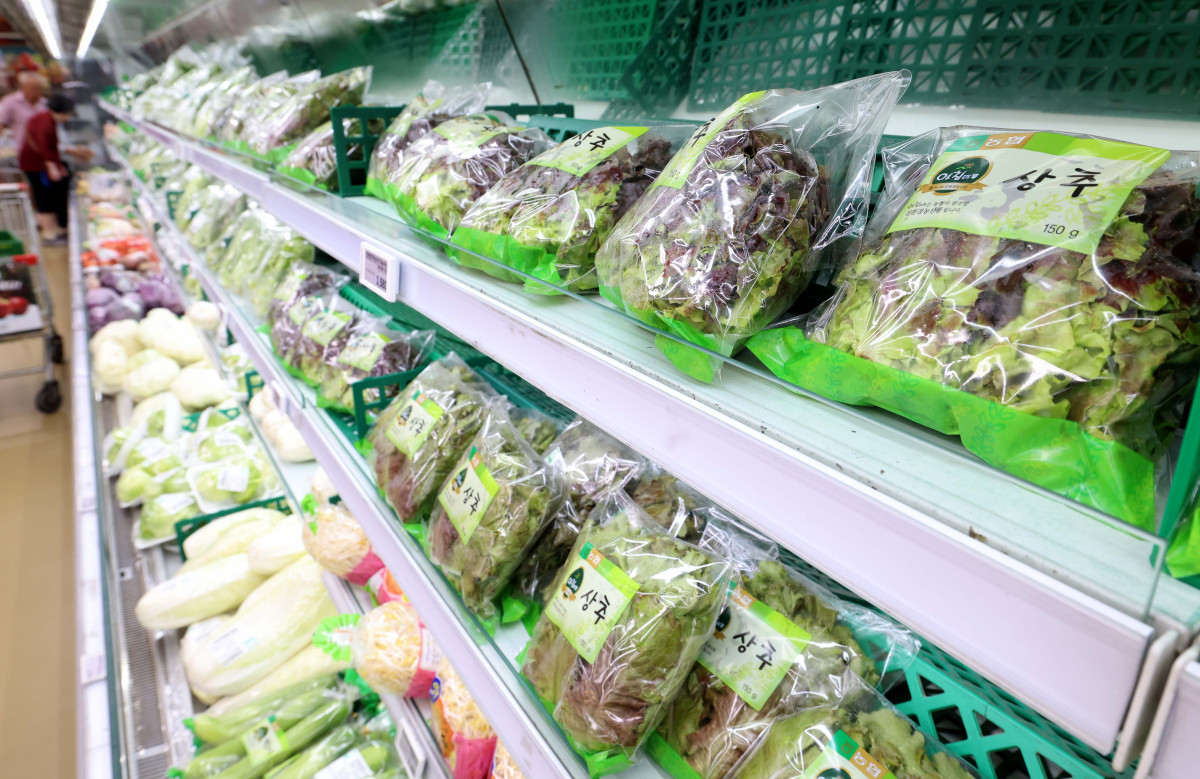 ▲지난달 소비자물가가 가공식품·수산물 등 가격이 오르면서 두 달째 2%대 상승세를 이어갔다. 폭염·폭우 영향으로 과일·채소 등 농산물 가격이 강세를 보였다. 소비쿠폰 수요가 많은 한우 등의 물가도 전달보다 상승 폭이 커졌다. 통계청이 5일 발표한 '7월 소비자물가동향'을 보면 지난 달 소비자물가지수는 116.52(2020년=100)로 1년 전보다 2.1% 올랐다. 소비자물가지수 상승률은 올해 1월부터 2%대를 기록하다가 지난 5월 1.9%로 떨어졌으나 6월부터는 두 달째 다시 2%대를 유지하고 있다. 이날 서울의 한 대형마트에서 시민들이 장을 보고 있다. 신태현 기자 holjjak@