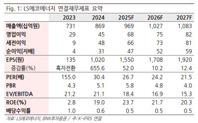 ▲LS에코에너지 연결재무제표 요약.  (출처=BNK투자증권)