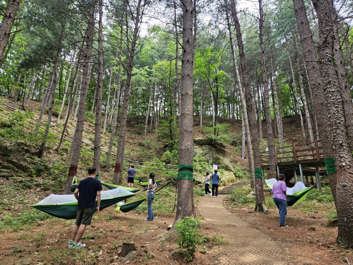 ▲동두천치유의숲 (경기도)