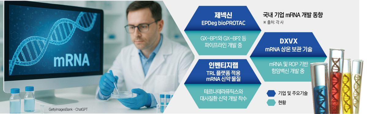 (그래픽=신미영 기자 win8226@)